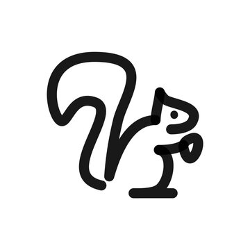 squirrel doodle