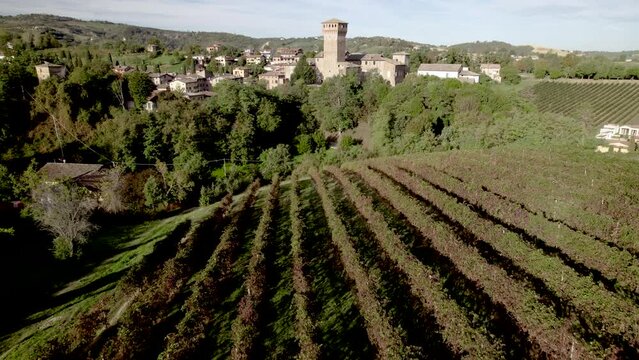 Drone 4K view over green and red vineyards towards the old Castle of Levizzano Rangoni, Emilia Romagna. Italy
