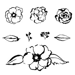 Simple abstract hand drawn doodles. Botanical nature flowers and leaves objects modern contemporary trendy elements vector illustration.