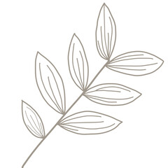 Botanical simple pattern 