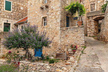 Stone houses and bell tower of the village Velo Grablje on Island Hvar in Croatia, founded in the 14th century.  - obrazy, fototapety, plakaty