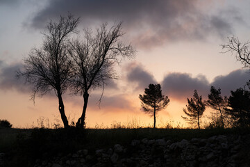 Naklejka na ściany i meble A Sunset in the Judea Mountains, Israel