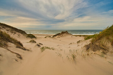 Nordseestrand bei Schoorl in den Niederlanden