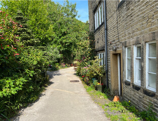 Path, leading past old stone cottages, with wild plants, flowering bushes and trees in, Dobcross, Oldham, UK