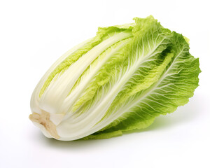 Napa cabbage