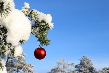 Red shiny Christmas ball hanging outside at a snowy fir tree. Winter in December. Close up....