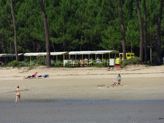 Petit train touristique, Ile d'Oléron, Saint-Trojan-les-Bains,