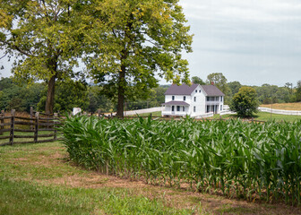 Fototapeta na wymiar rural house in the countryside