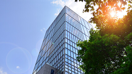Eco architecture. Green tree and glass office building. The harmony of nature and modernity....