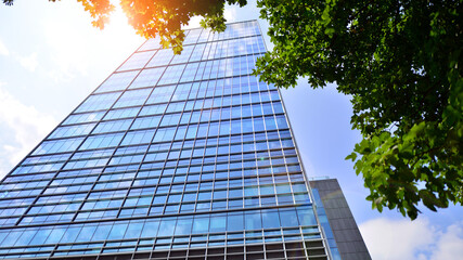 Eco architecture. Green tree and glass office building. The harmony of nature and modernity. Reflection of modern commercial building on glass with sunlight. 