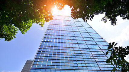 Eco architecture. Green tree and glass office building. The harmony of nature and modernity. Reflection of modern commercial building on glass with sunlight. 