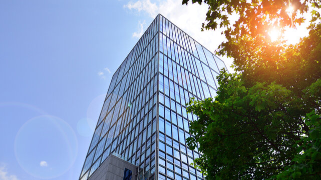 Eco architecture. Green tree and glass office building. The harmony of nature and modernity. Reflection of modern commercial building on glass with sunlight. 