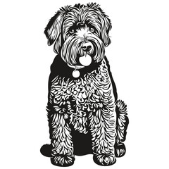 Black Russian Terrier dog hand drawn logo drawing black and white line art pets illustration realistic breed pet