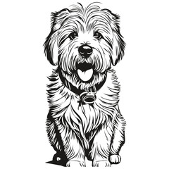 Coton de Tulear dog outline pencil drawing artwork, black character on white background ready t shirt print