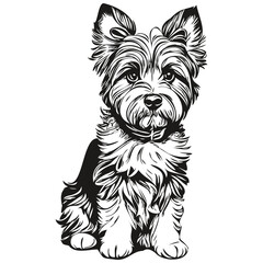 Dandie Dinmont Terriers dog hand drawn logo drawing black and white line art pets illustration sketch drawing