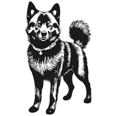 Schipperke dog breed line drawing, clip art animal hand drawing vector black and white sketch drawing