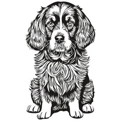 Spaniel English Cocker dog outline pencil drawing artwork, black character on white background