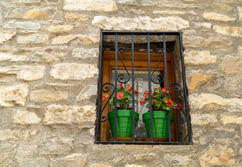 Fototapeta na wymiar Two green pots with geraniums in the window of a rustic village house