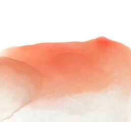 Ink watercolor smoke flow texturestain blot on background.