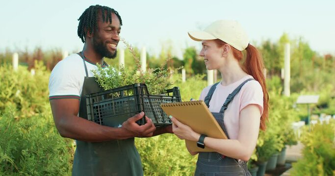 happy African-american man and European red-haired woman gardeners talking about job in greenhouse. Slow motion. black and caucasian farmers talking, discussing, sharing experience Slow motion