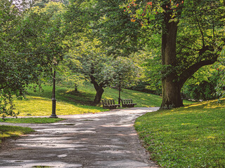 Central Park summer