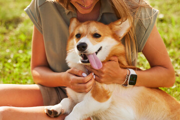 young girl playing with happy Welsh Corgi dog in the park on a sunny summer day, happy animals...