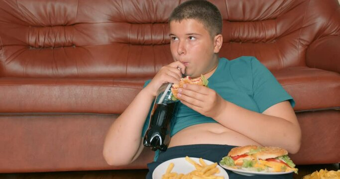 fat plump teenager boy cannot control his weight, he eats junk food alone in the living room at home