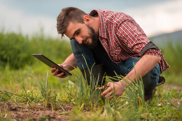 Male farmer plantation checking quality by tablet agriculture modern technology concept smart farming agronomist checking soil quality on the field. - obrazy, fototapety, plakaty