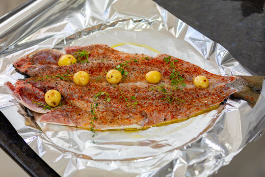 Traditional anchovy fish (Pomatomus saltador) seasoned ready to be baked in the oven