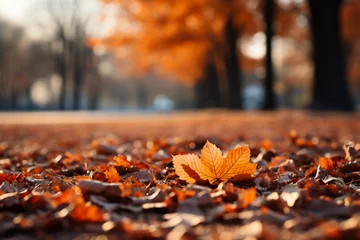 Foto op Aluminium Fall leaves are falling onto a ground, in the style of bokeh panorama, orange, detailed landscapes. AI generative © SANGHYUN
