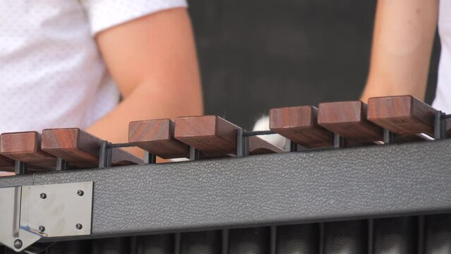 Man playing xylophone close up view