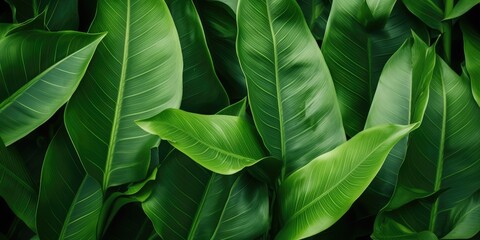 desktop wallpaper Abstract Tropical Leaves Texture for Desktop Wallpaper and Nature-inspired Background Designs  Generative AI Digital Illustration