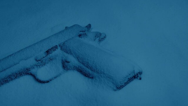 Gun In The Snow At Dusk