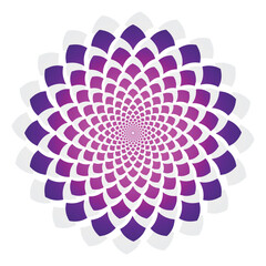 Geometric circular spiral icon, abstract swirl vortex with purple shapes isolated on white background, floral concept design. Vector illustration