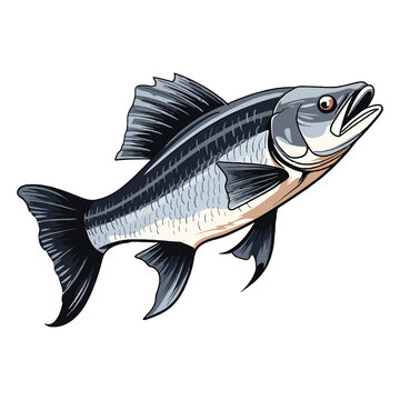 Graceful Aquatic Creature: Stunning 2D Illustration of a Fish Featherfin Catfish