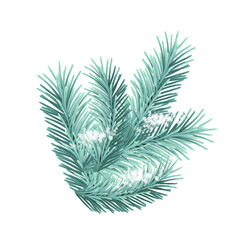 vector fir branch. christmas tree decoration, pine needles isolated