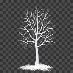vector snow covered trees in the winter illustration on tranparent background