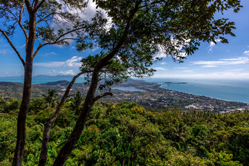 Fototapeta na wymiar panoramic background of high mountain scenery, overlooking the atmosphere of the sea, trees and wind blowing in a cool blur, spontaneous beauty