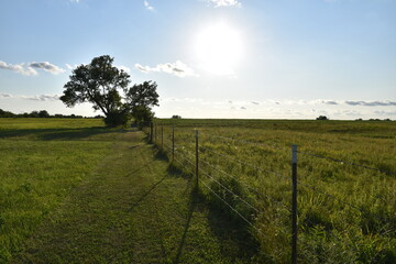 Sun Over a Rural Field