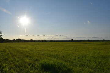 Fototapeta na wymiar Sun Over a Green Field