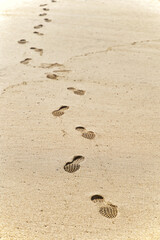 Shoe marks on the sandy beach - 621423460