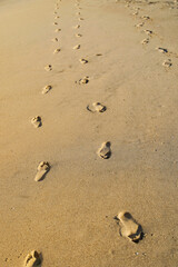 Foot prints in the sand - 621423471