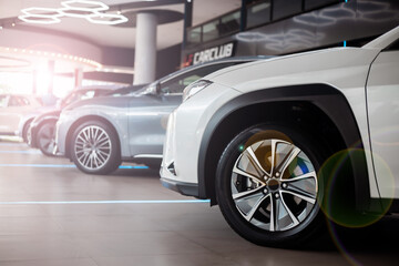 Beautiful Car dealership showroom interior with brand new vehicles for sale. White floor for new...