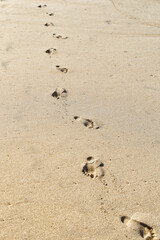 Foot prints in the sand - 621423651