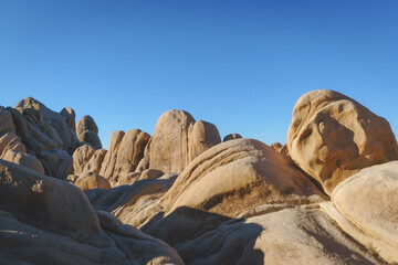 Joshua Tree National Park White Tank