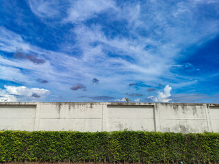 Obraz premium pigeons on the roof