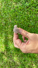 personal perspective of person picking mushroom