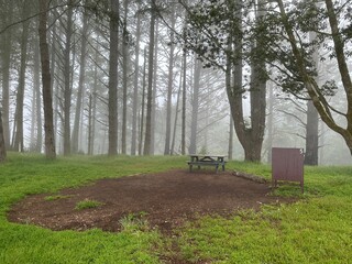 Campsite in the fog in Point Reyes National Seashore