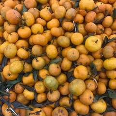 A bunch of oranges at a supermarket shelf.