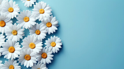 Flowers composition frame made of white daisies on blue background